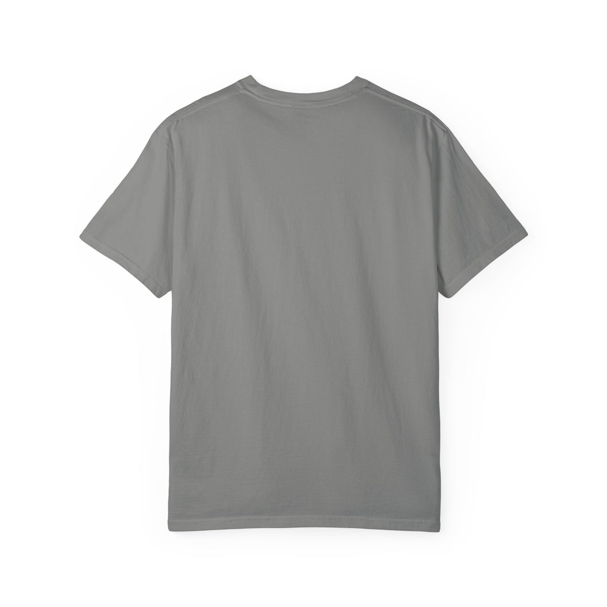 Parsing Bill (Recovered) — T-Shirt | Political Satire Tee